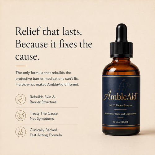 AmbleAid™ Premium Liquid Pet Collagen Essence