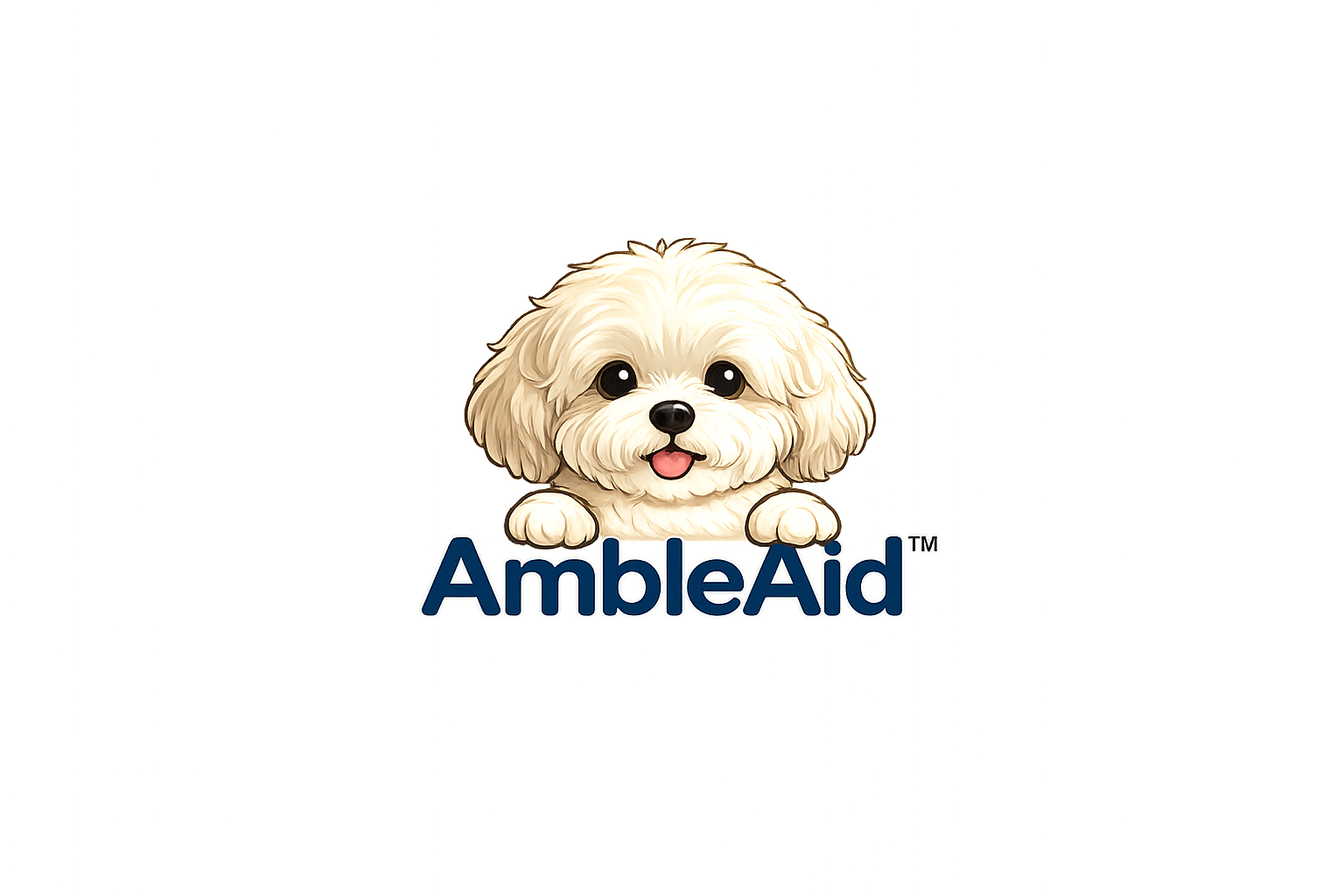 AmbleAid™