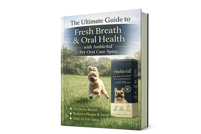 The Ultimate Guide to Fresh Breath & Oral Health