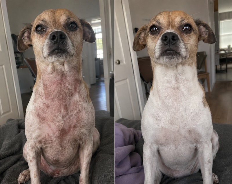 her neck finally cleared up